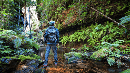 SIX OF AUSTRALIA’S BEST WALKING LOCATIONS